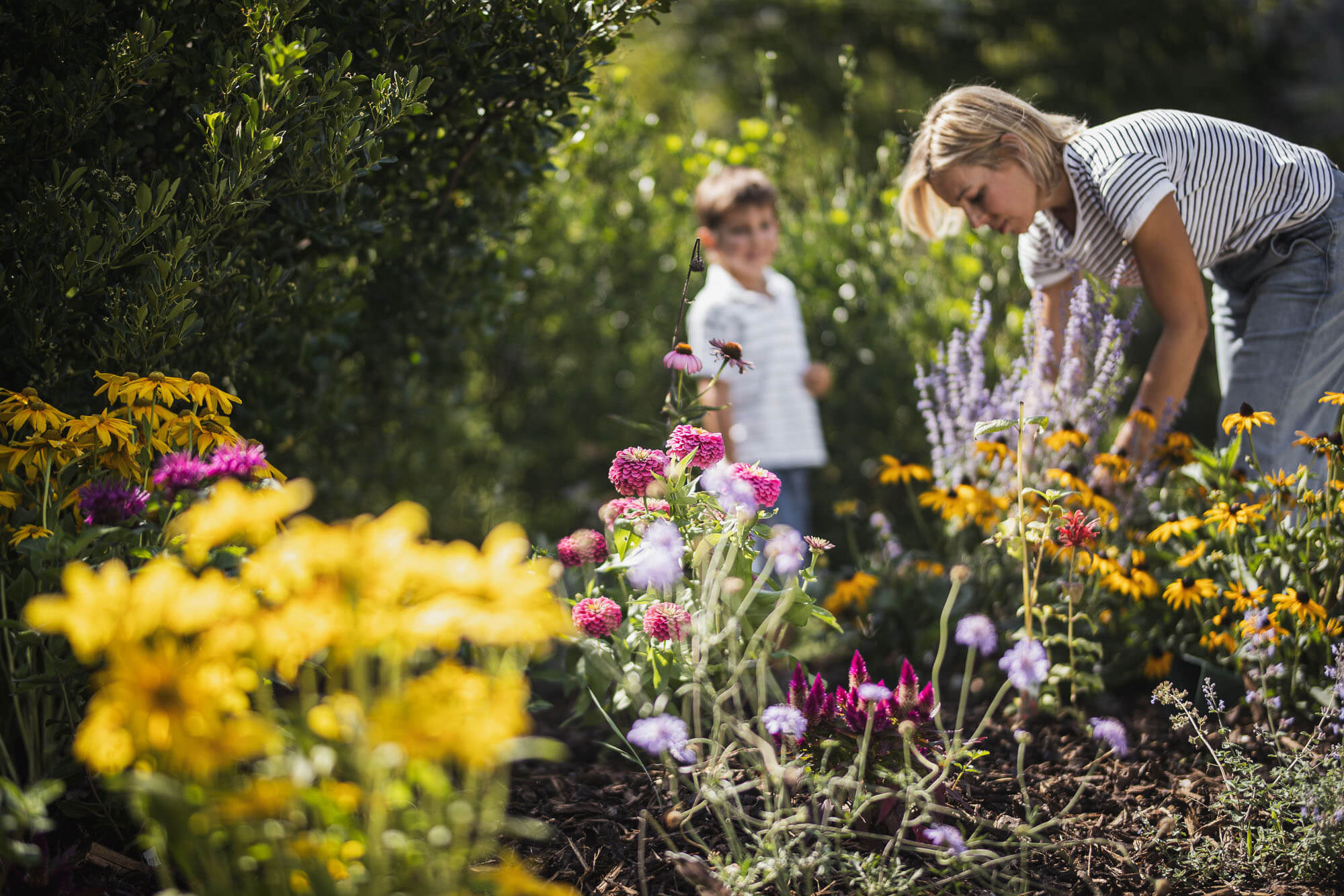 Garden love with flowers