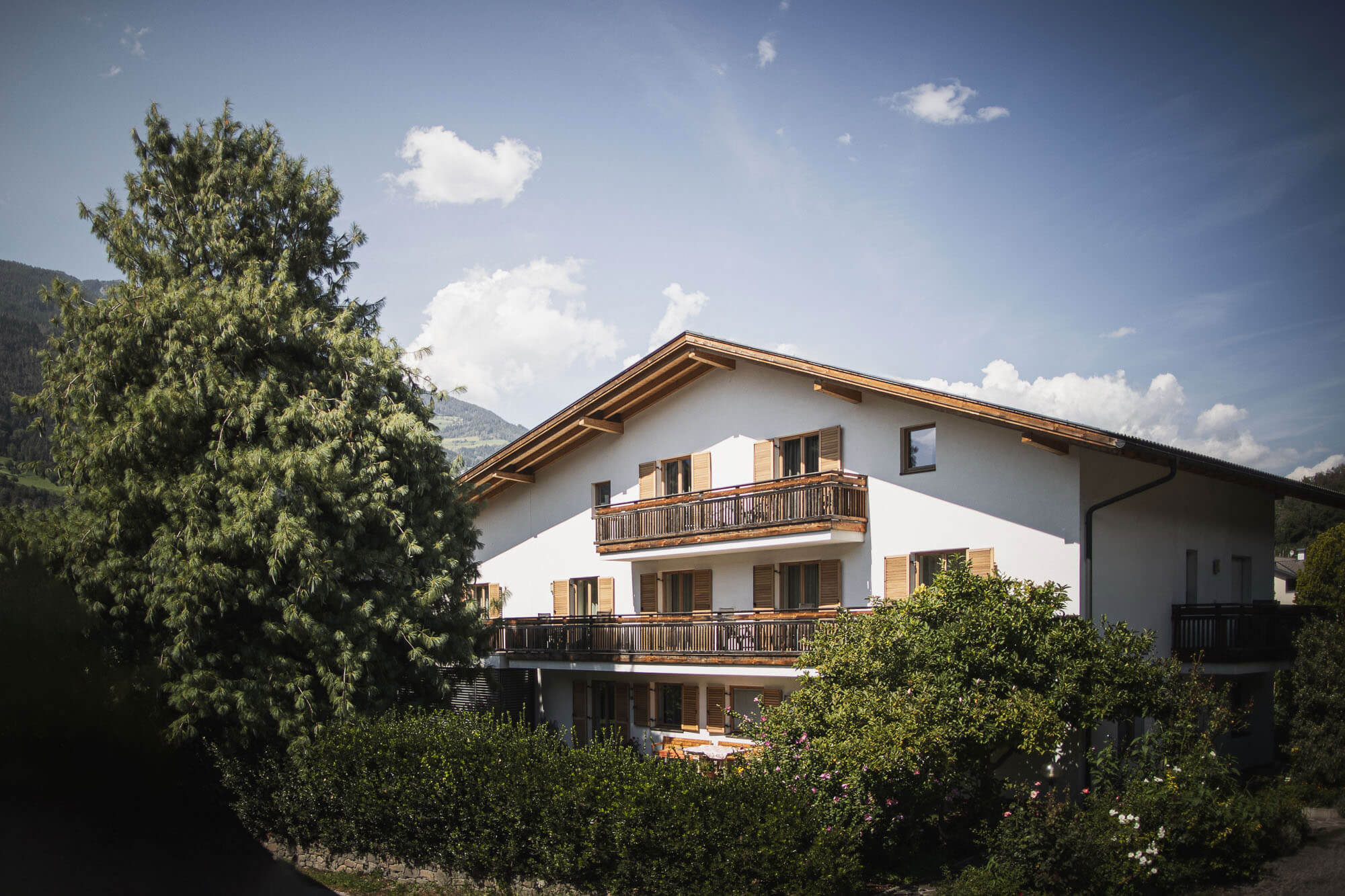 The Mittermoar - the house